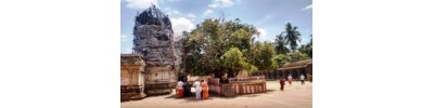 100. திருத்துருத்தி
